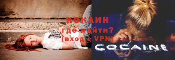 ГАЛЛЮЦИНОГЕННЫЕ ГРИБЫ Аркадак