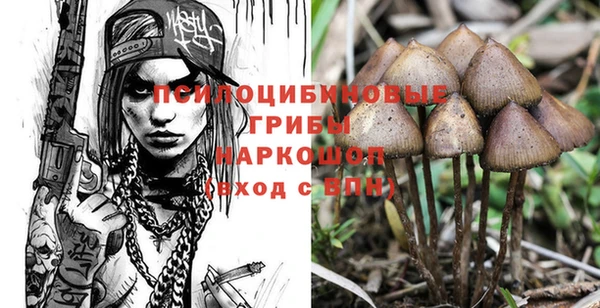 ГАЛЛЮЦИНОГЕННЫЕ ГРИБЫ Аркадак