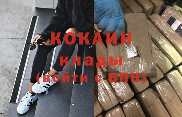 ГАЛЛЮЦИНОГЕННЫЕ ГРИБЫ Аркадак