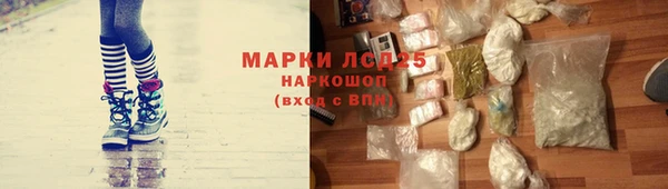 ГАЛЛЮЦИНОГЕННЫЕ ГРИБЫ Аркадак