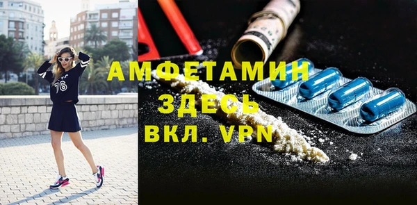 ГАЛЛЮЦИНОГЕННЫЕ ГРИБЫ Аркадак