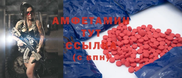 ГАЛЛЮЦИНОГЕННЫЕ ГРИБЫ Аркадак