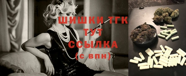 ГАЛЛЮЦИНОГЕННЫЕ ГРИБЫ Аркадак